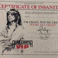 Insane Certificate - 2020 